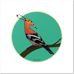 Hoopoe Posters and Art